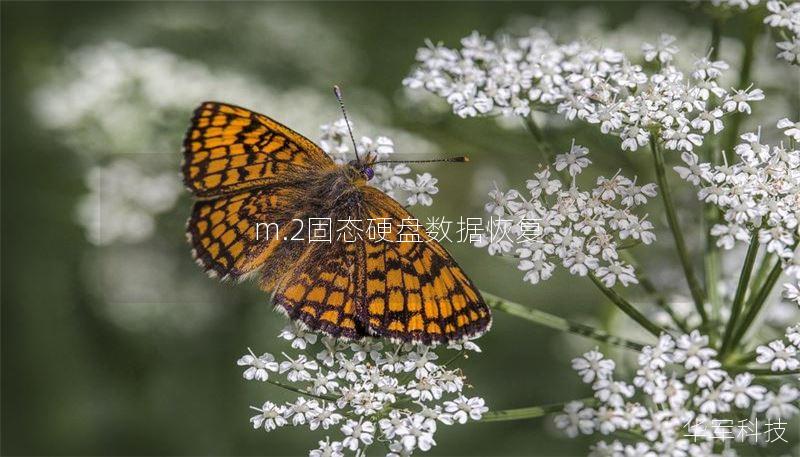 m.2固態(tài)硬盤數(shù)據(jù)恢復