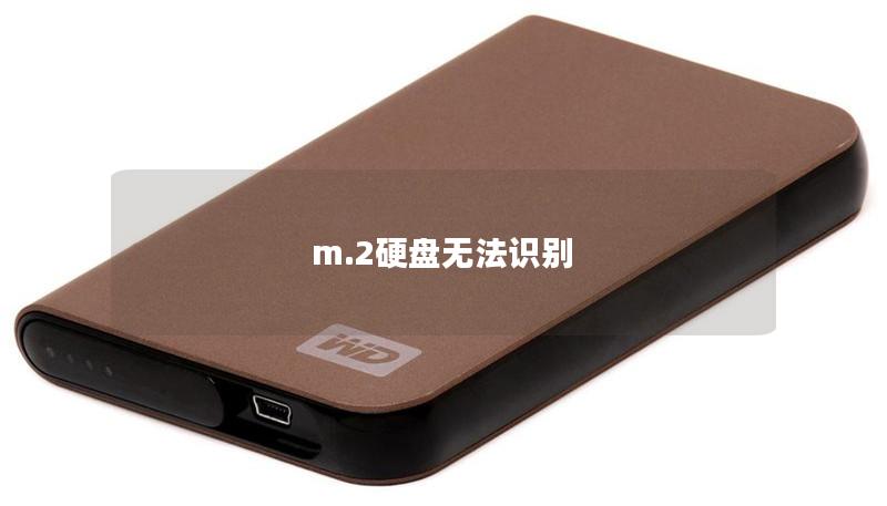 m.2硬盤無法識別