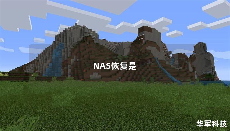 NAS恢復(fù)是
