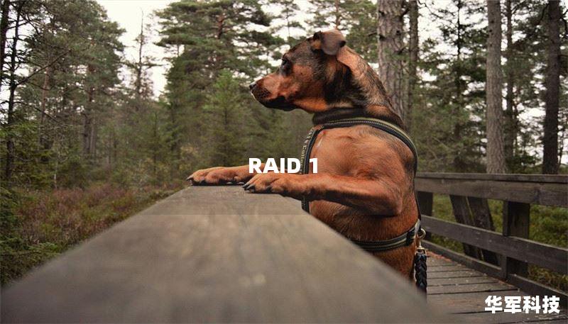 RAID 1